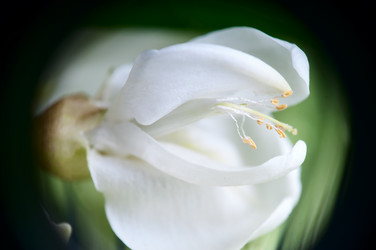 Similar image 2918035