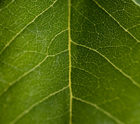 Similar image 2918037