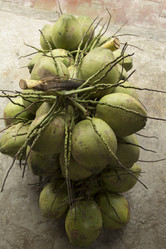 Similar image 2918039