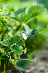 Similar image 2918043