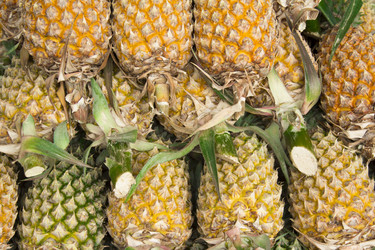 Similar image 2918050