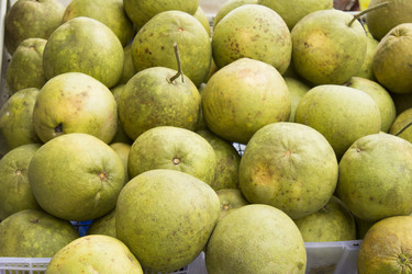 Similar image 2918052