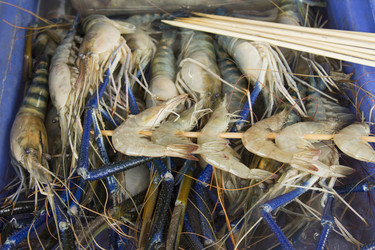 Similar image 2918055