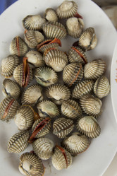 Similar image 2918056