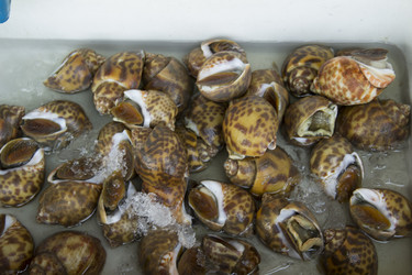 Similar image 2918066