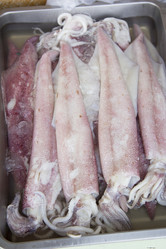 Similar image 2918068