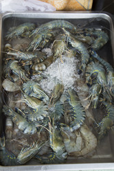 Similar image 2918070