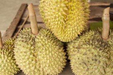 Similar image 2918073