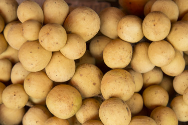 Similar image 2918074