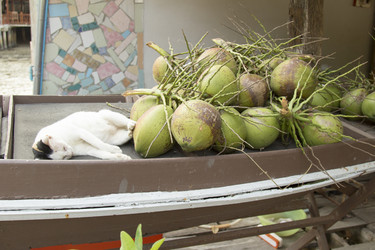 Similar image 2918075