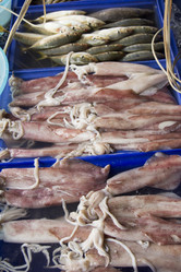 Similar image 2918077