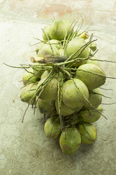 Similar image 2918087