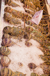 Similar image 2918089