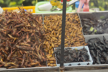 Similar image 2918102