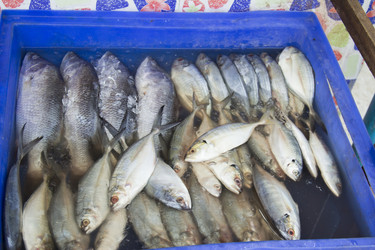 Similar image 2918117