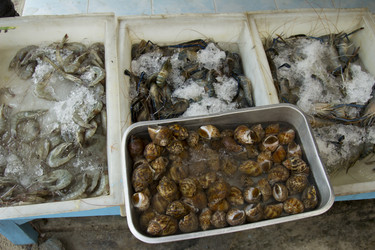 Similar image 2918124