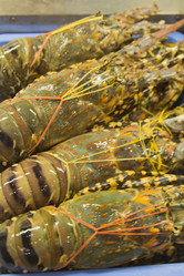 Similar image 2918137