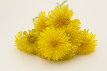 Similar image 2918157