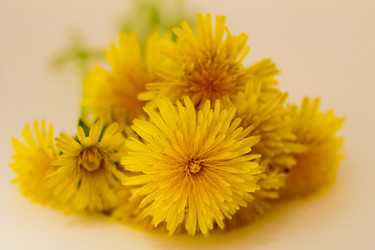 Similar image 2918158