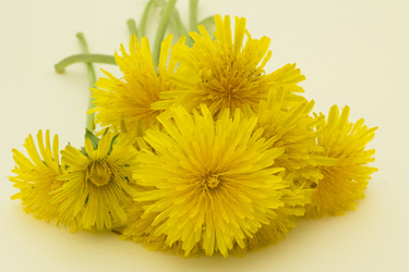 Similar image 2918160