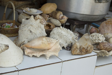 Similar image 2918161