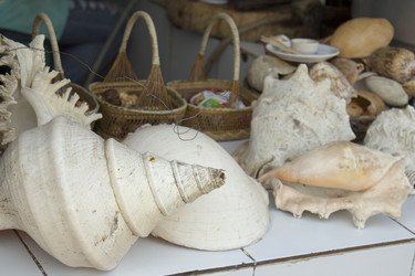 Similar image 2918162