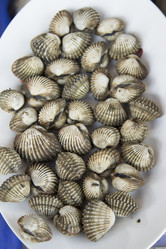 Similar image 2918229