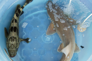 Similar image 2918236