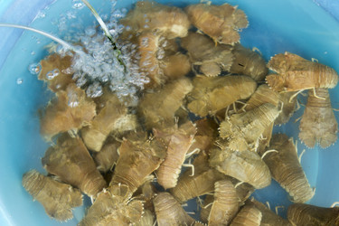 Similar image 2918237