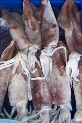 Similar image 2918238