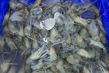 Similar image 2918241