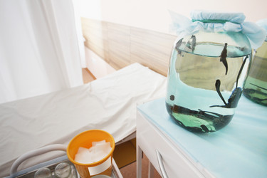 Similar image 2918246