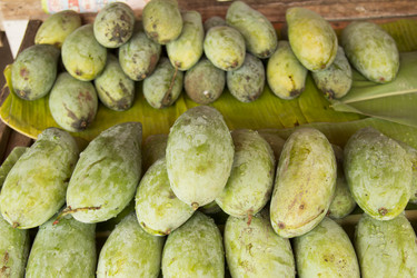 Similar image 2918262