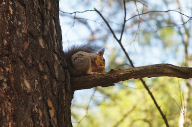 Similar image 2918307