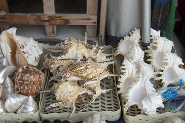 Similar image 2918325