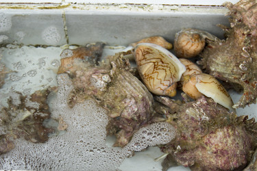 Similar image 2918336