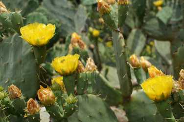 Similar image 2918432