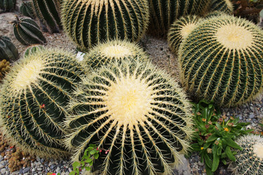 Similar image 2918443