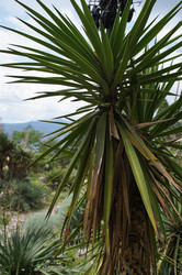 Similar image 2918507