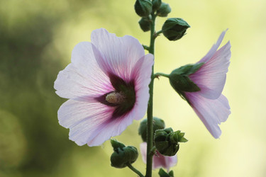 Similar image 2918559