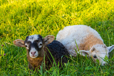 Similar image 2918579