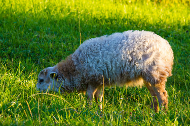 Similar image 2918580