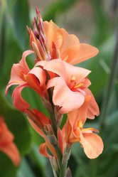 Similar image 2918672