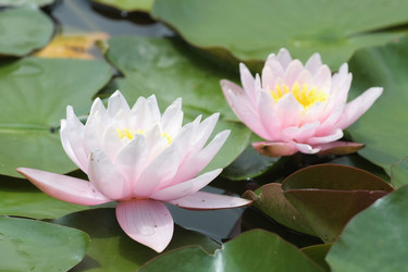 Similar image 2918684