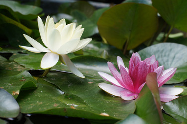 Similar image 2918715