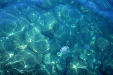 Similar image 2918720