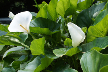 Similar image 2918722