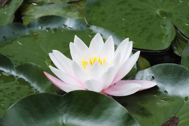 Similar image 2918745