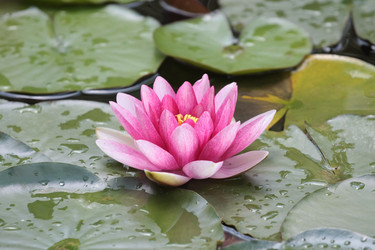 Similar image 2918748