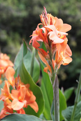 Similar image 2918754